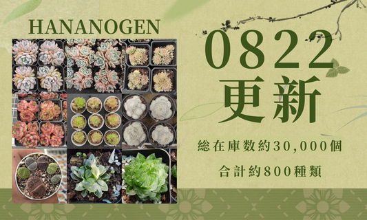 新着-0822更新