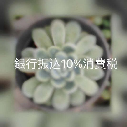 銀行振込10%消費税